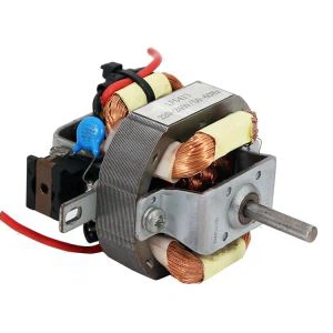 Suosittu sähköinen hiustenpuhdistimen vaihtovirtamoottori